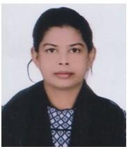MST NOYON MONI